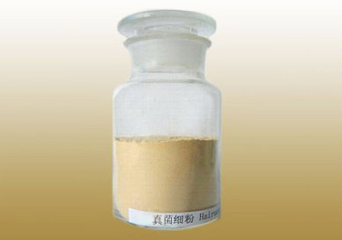 真菌系列细粉Fungi & Mushrooms Powder and Mycelia powder