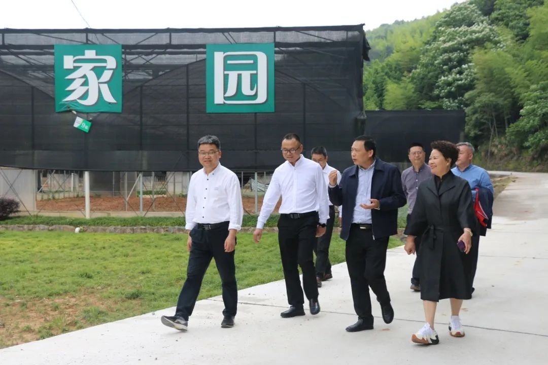 心系企业促发展 | 丽水市农业农村局局长黄力量一行莅临方格菌博园考察调研