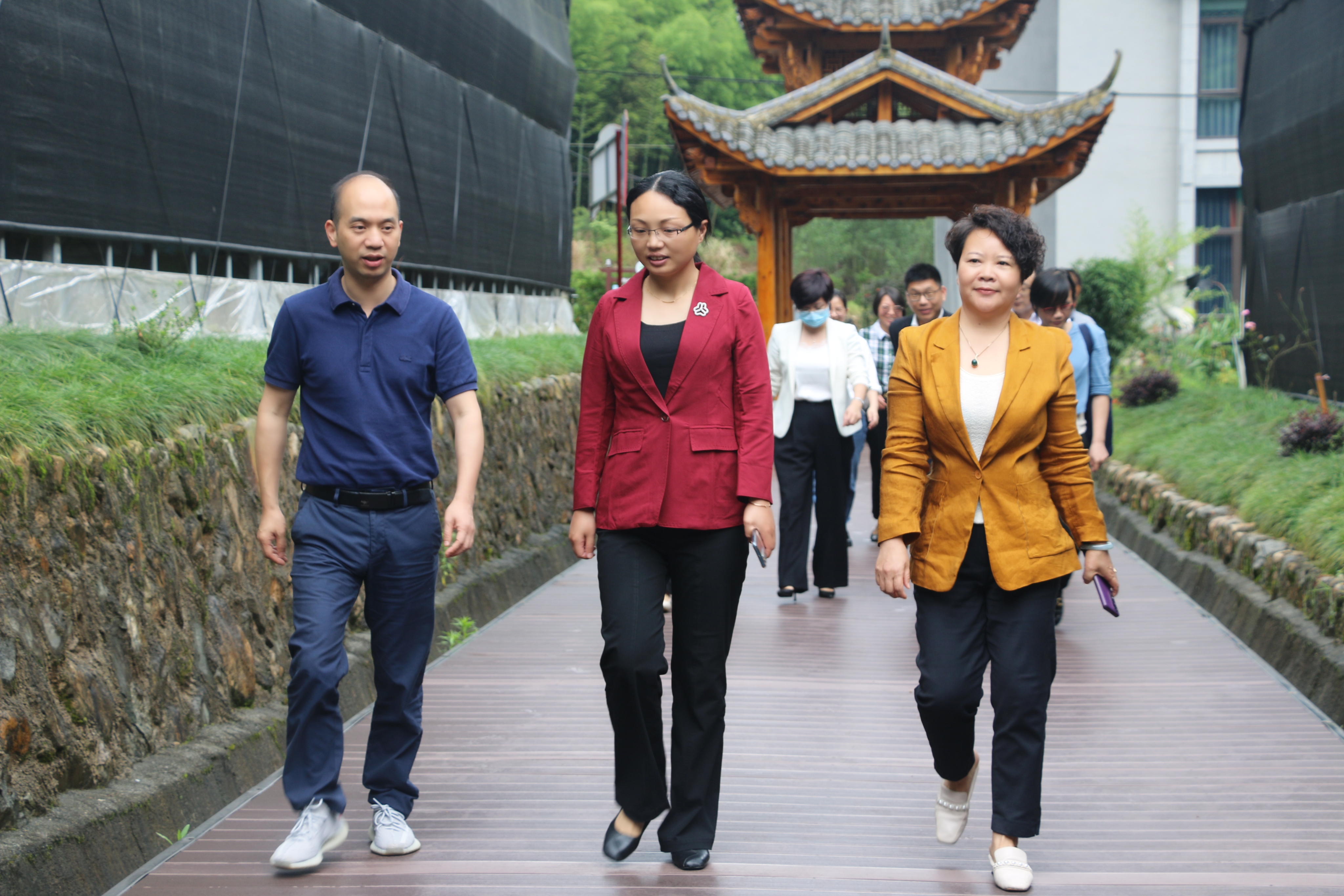 丽水市妇联党组书记、主席管伟春一行莅临方格菌博园调研指导